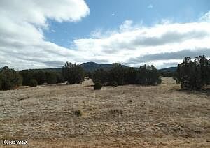 23 County Road 8021 Concho, AZ 85924 - Thumbnail 2
