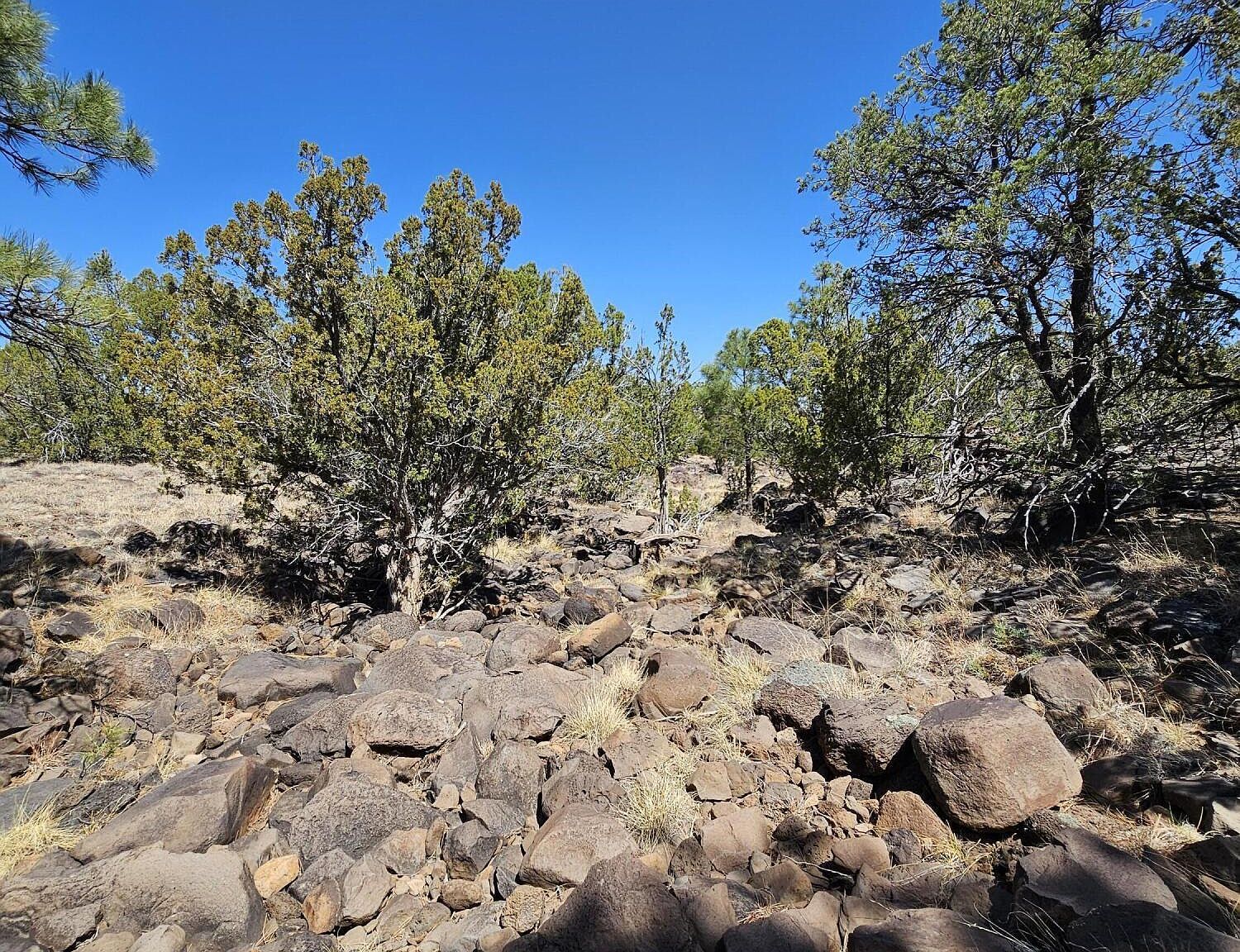 105 Co Rd Vernon, AZ 85940 - Thumbnail 2