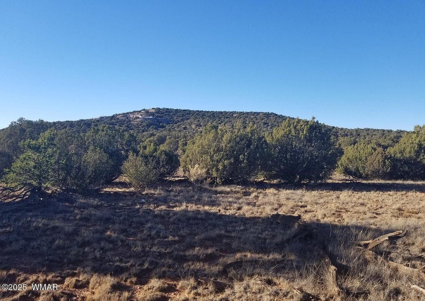 35 County Road 8281 Concho, AZ 85924 - Thumbnail 2