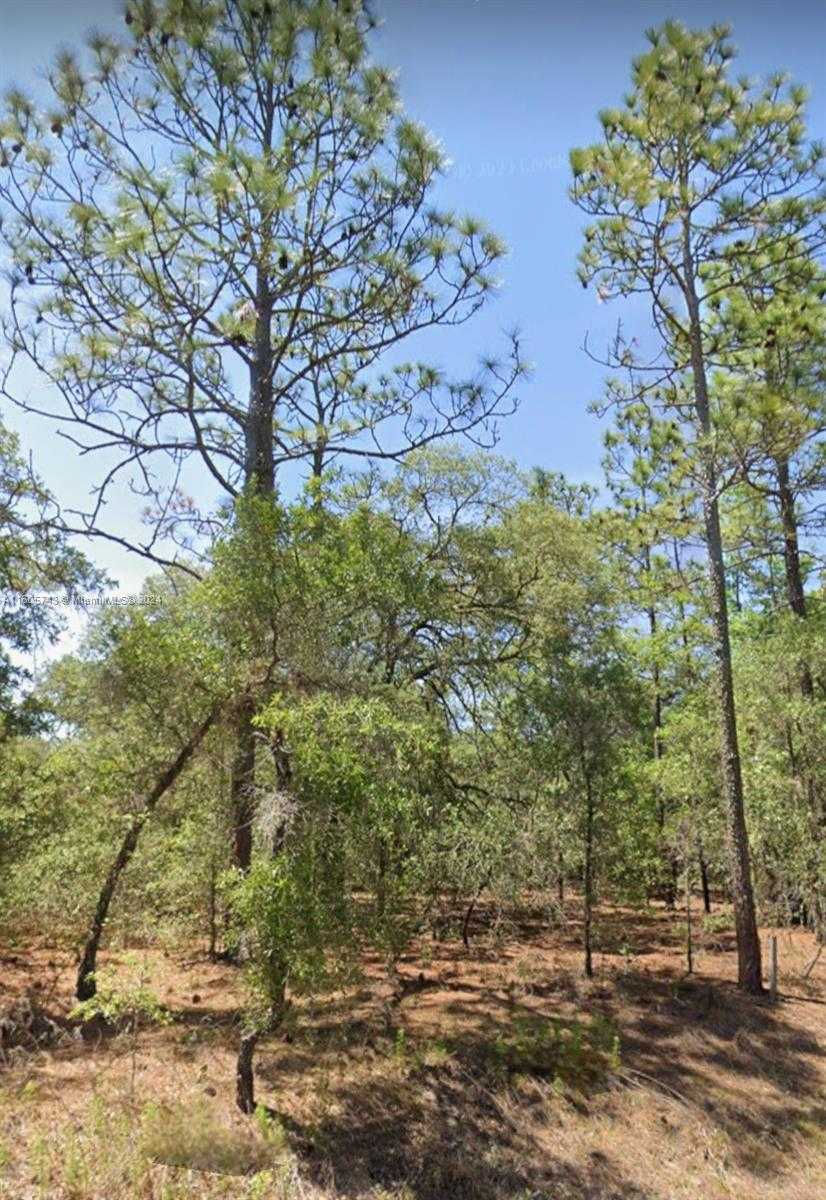 Southwest 206th Avenue, Dunnellon, FL, USA, 34431
