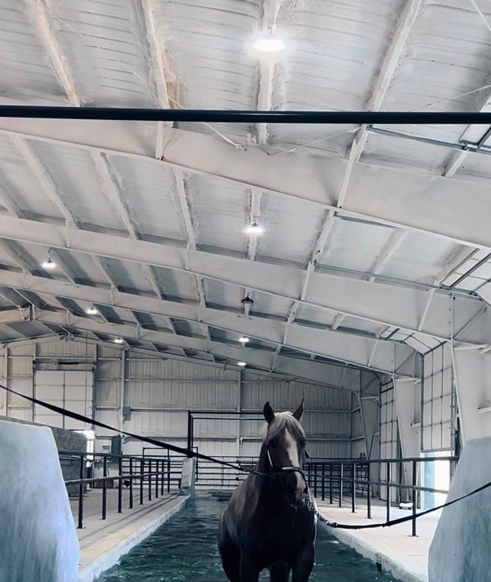 6670 Fm 2303 #A Stephenville, TX 76401 - Thumbnail 2