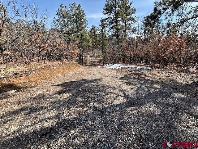 2308 Bull Elk Pl Pagosa Springs, CO 81147 - Thumbnail 2
