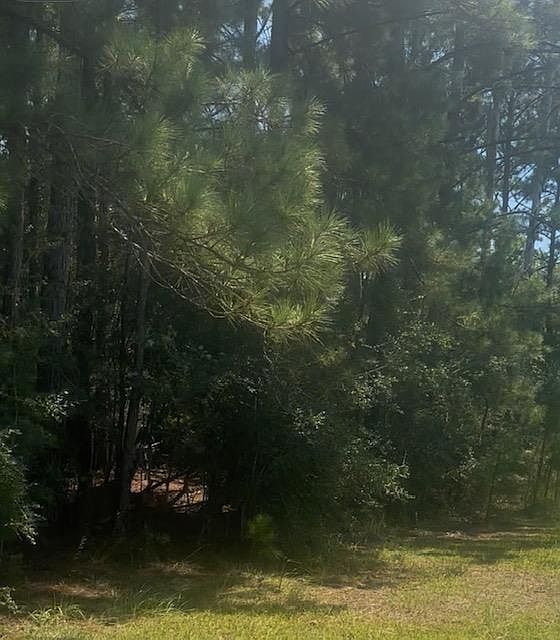 Nhn Mint Julep Airpark Perkinston, MS 39573 - Thumbnail 2