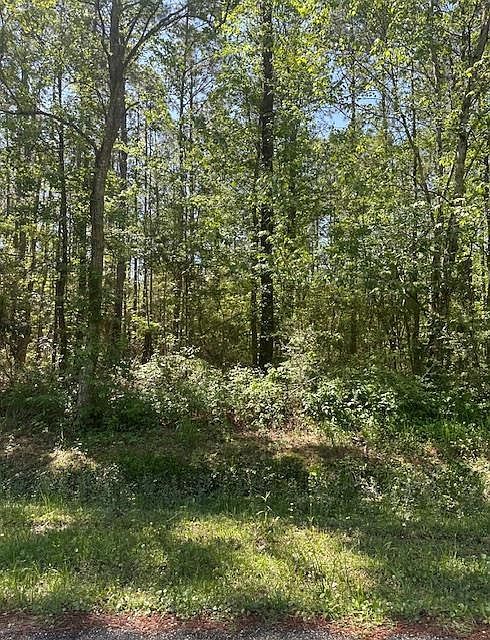 LOT 42 E Lamar St Bay Saint Louis, MS 39520 - Thumbnail 2