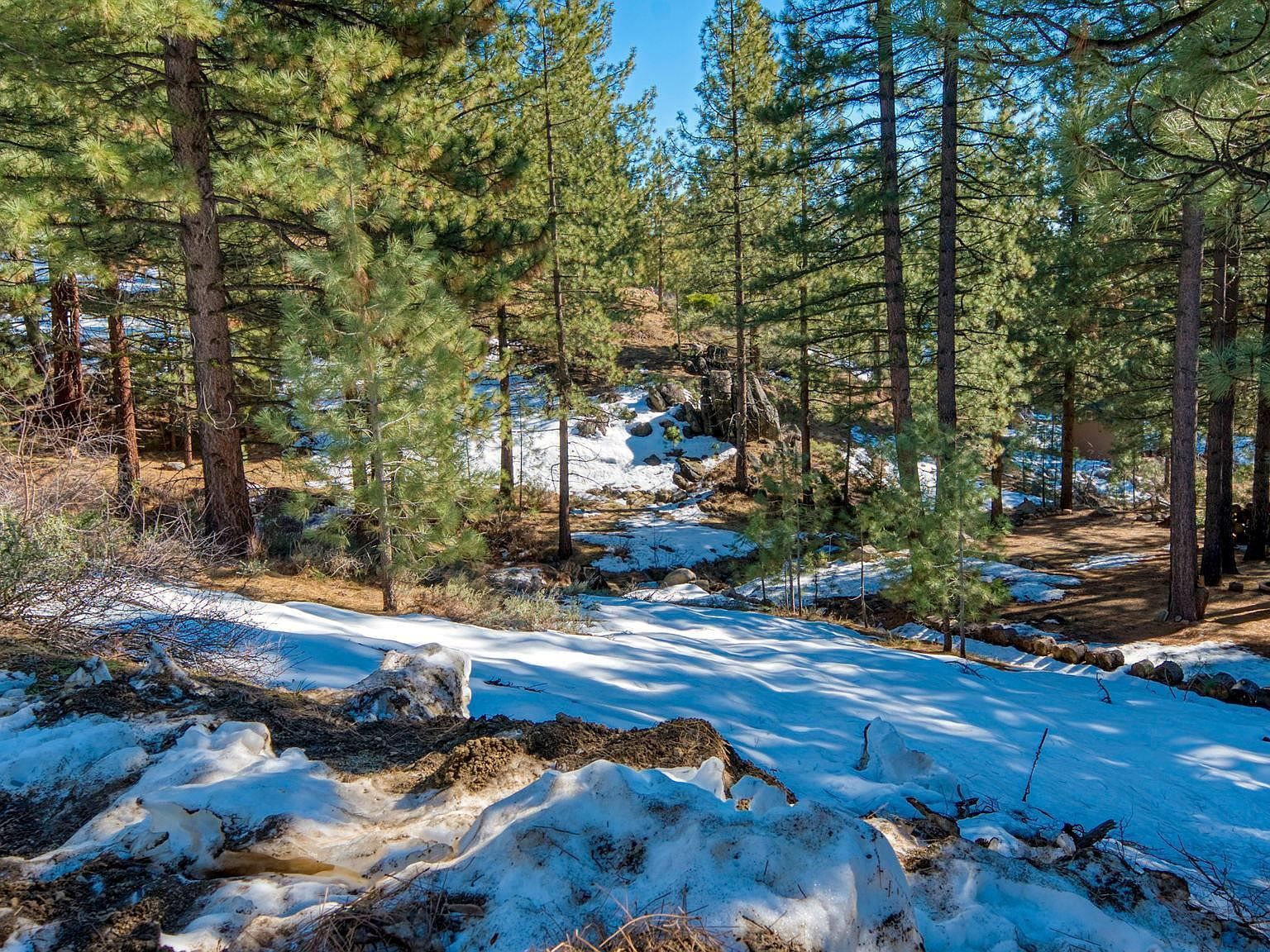 1169 Pine Ct Portola, CA 96122  | Land/Lot