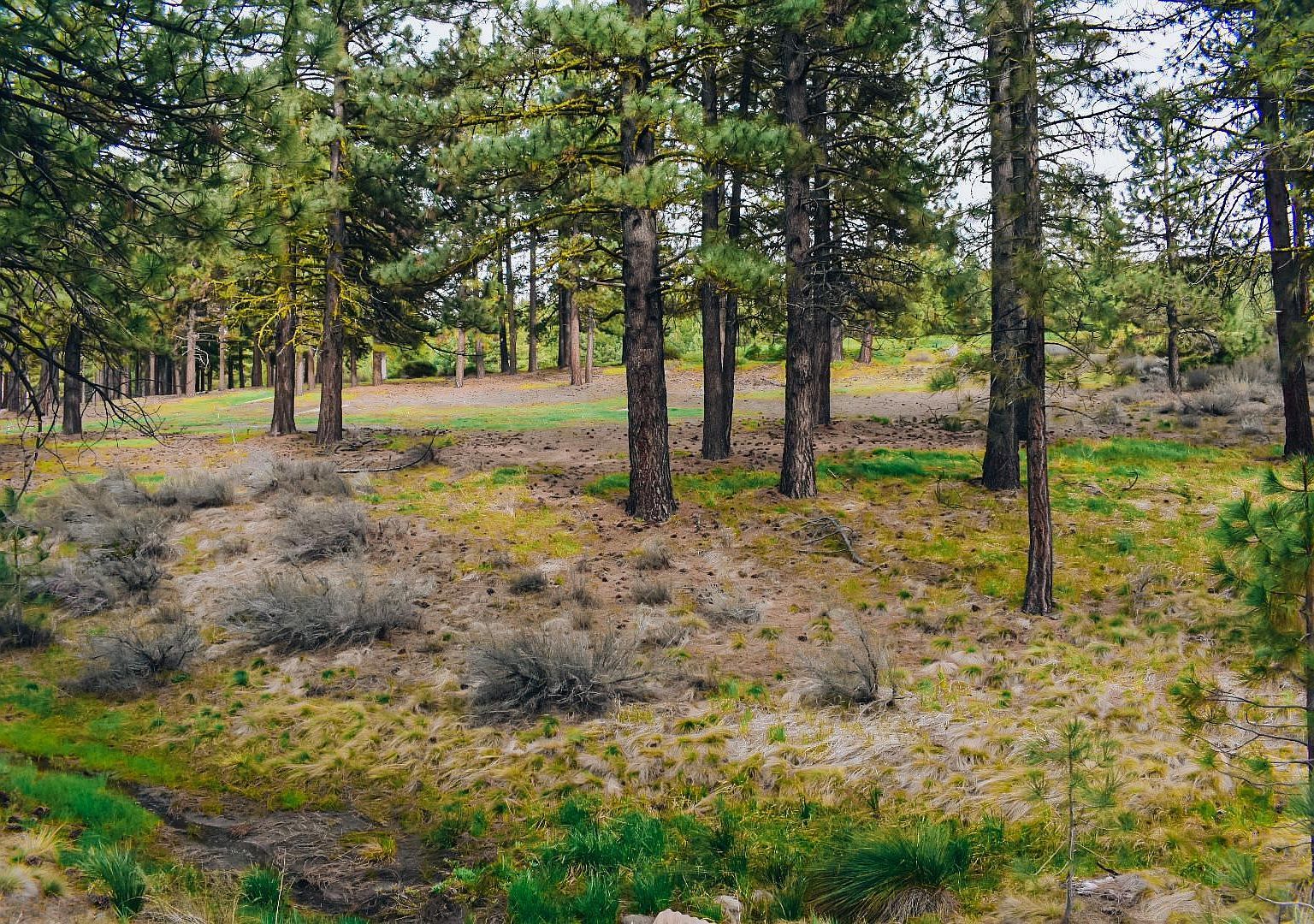 614 Sunburst Portola, CA 96122  | Land/Lot