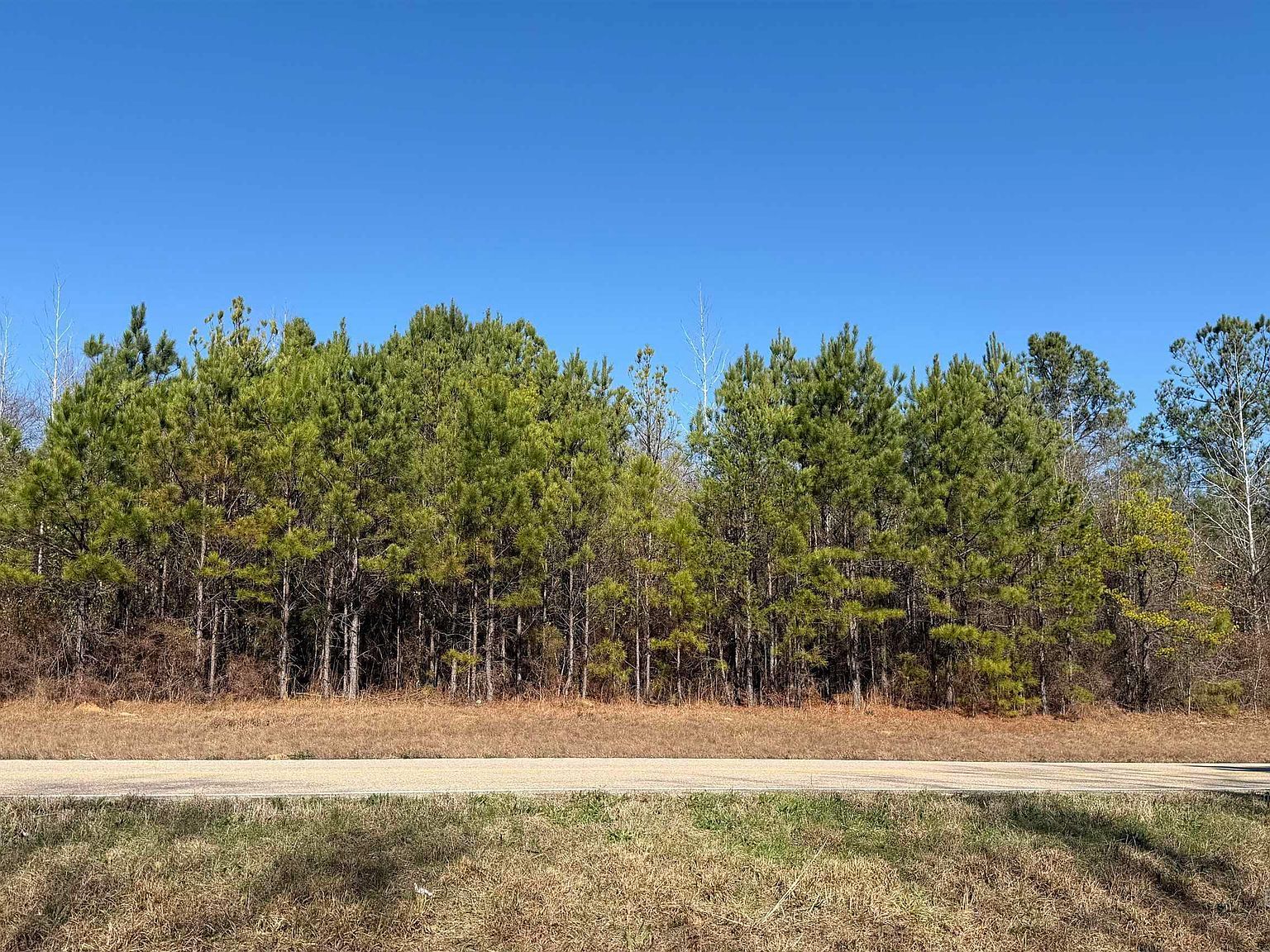 0 State Highway 47 Beatrice, AL 36425  | Land/Lot