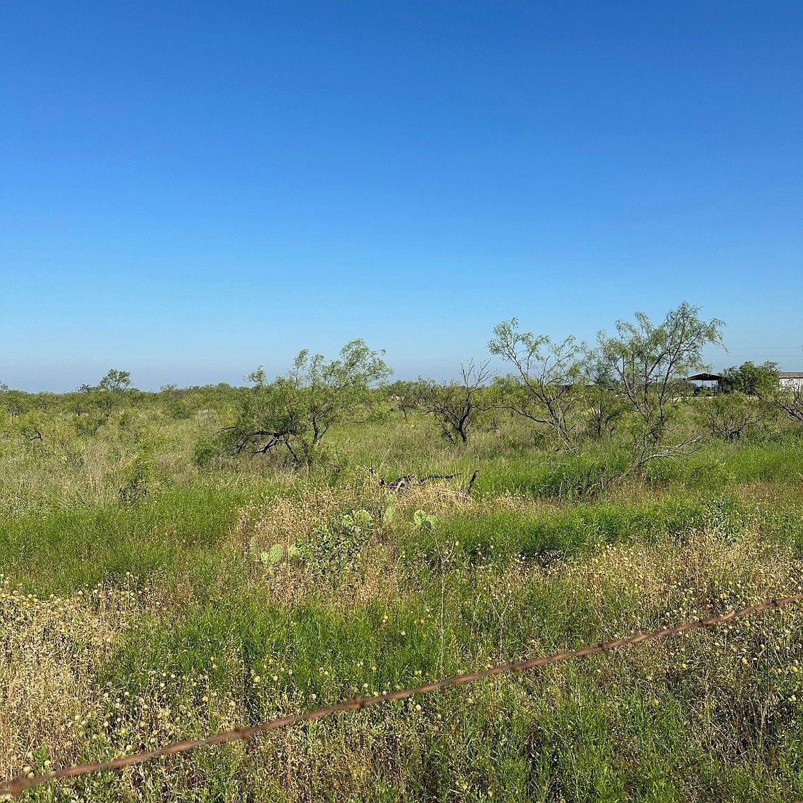 TRACT 20 County Road 155 Abilene, TX 79601 - Thumbnail 2