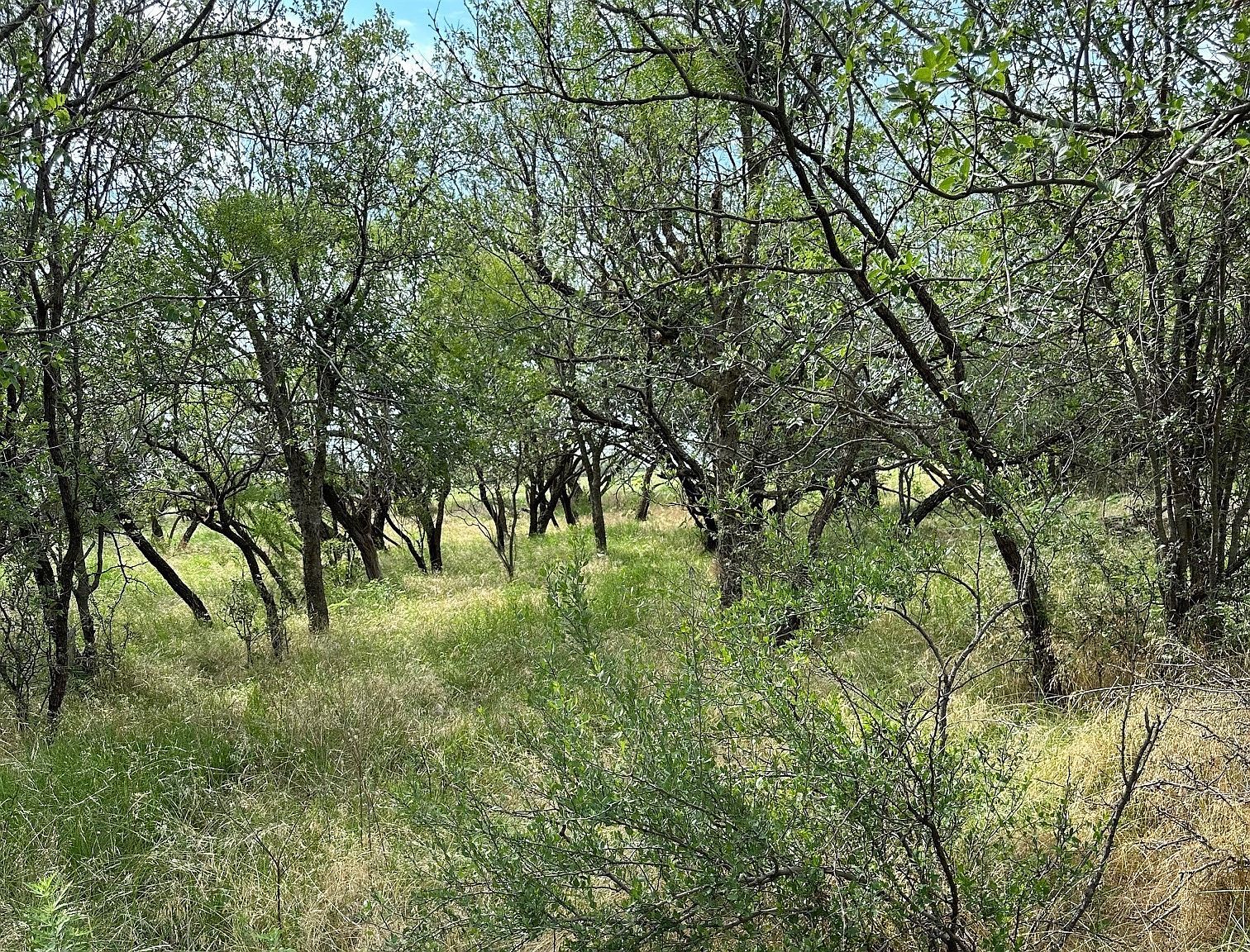 19 County Road 150 Abilene, TX 79601 - Thumbnail 2