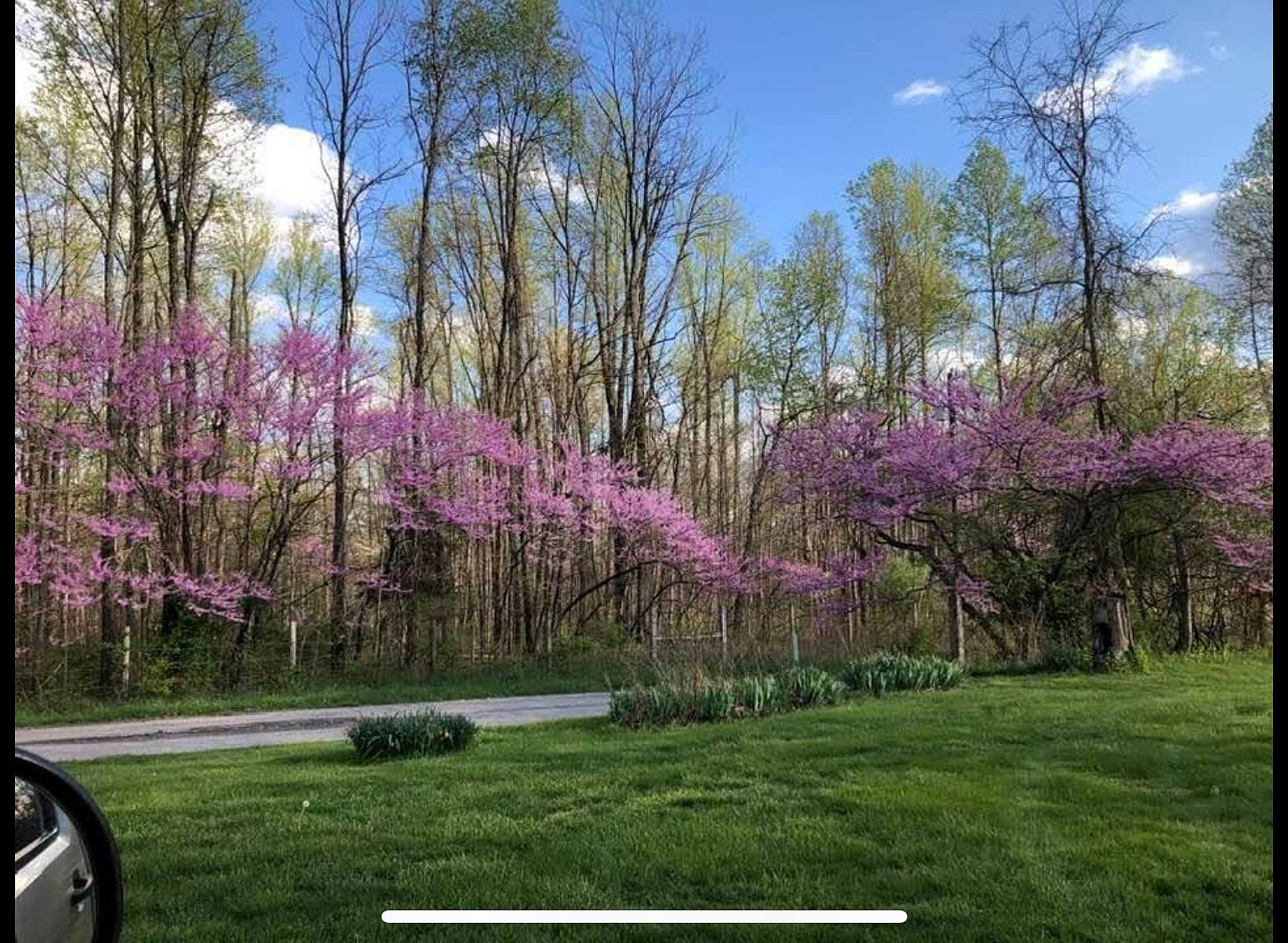 9700 N Bowman Rd Gosport, IN 47433 - Thumbnail 2