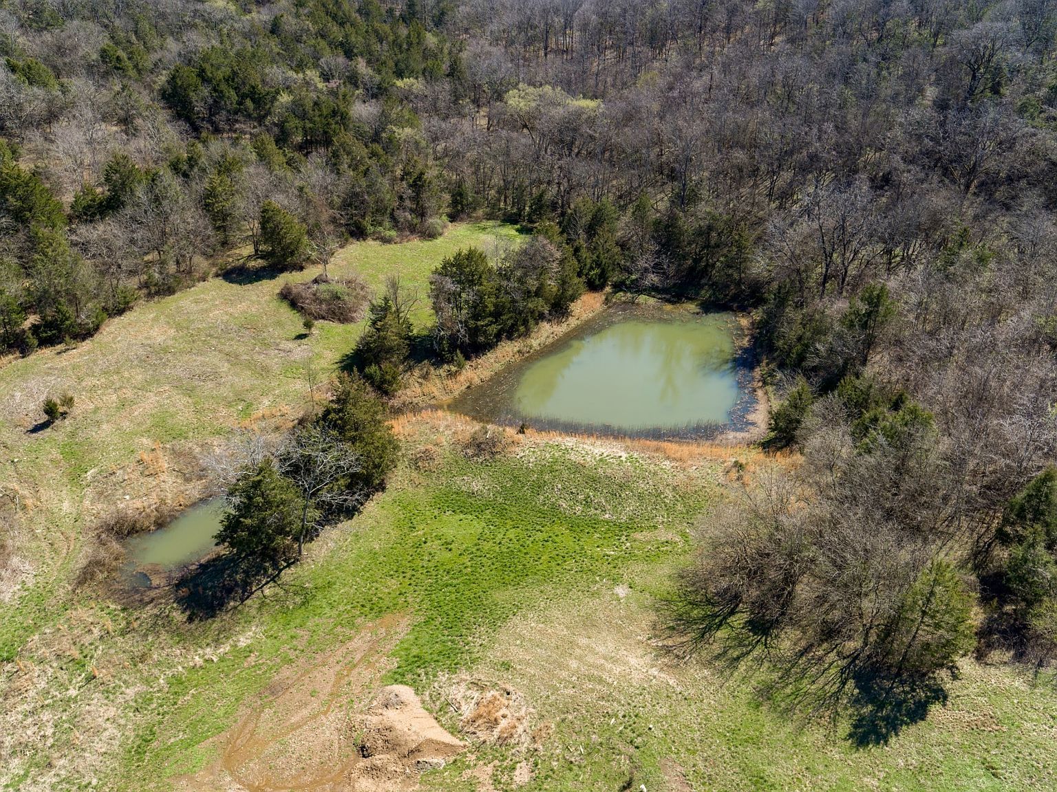 6876 Giles Hill Rd College Grove, TN 37046 - Thumbnail 2