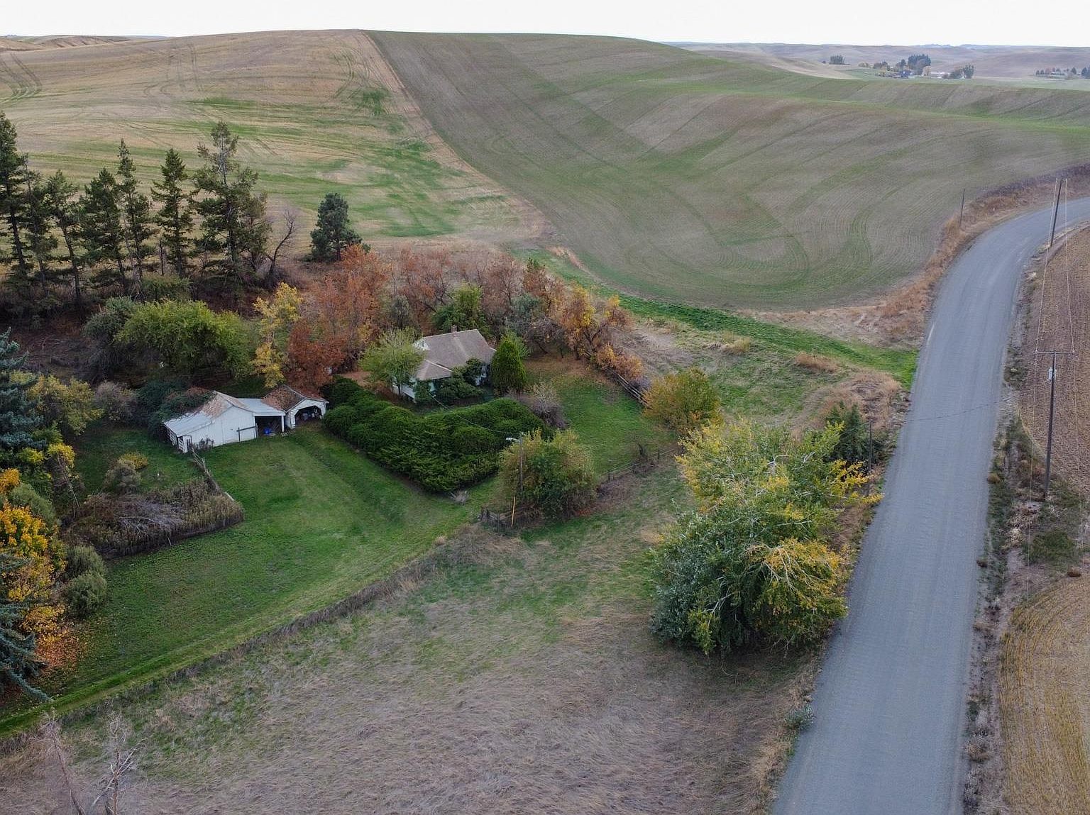 5904 Johnson Rd Pullman, WA 99163 - Thumbnail 2