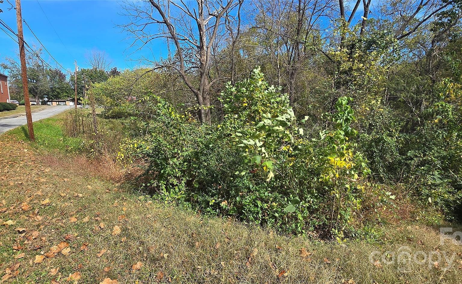 520 Healan Pl Lenoir, NC 28645 - Thumbnail 2