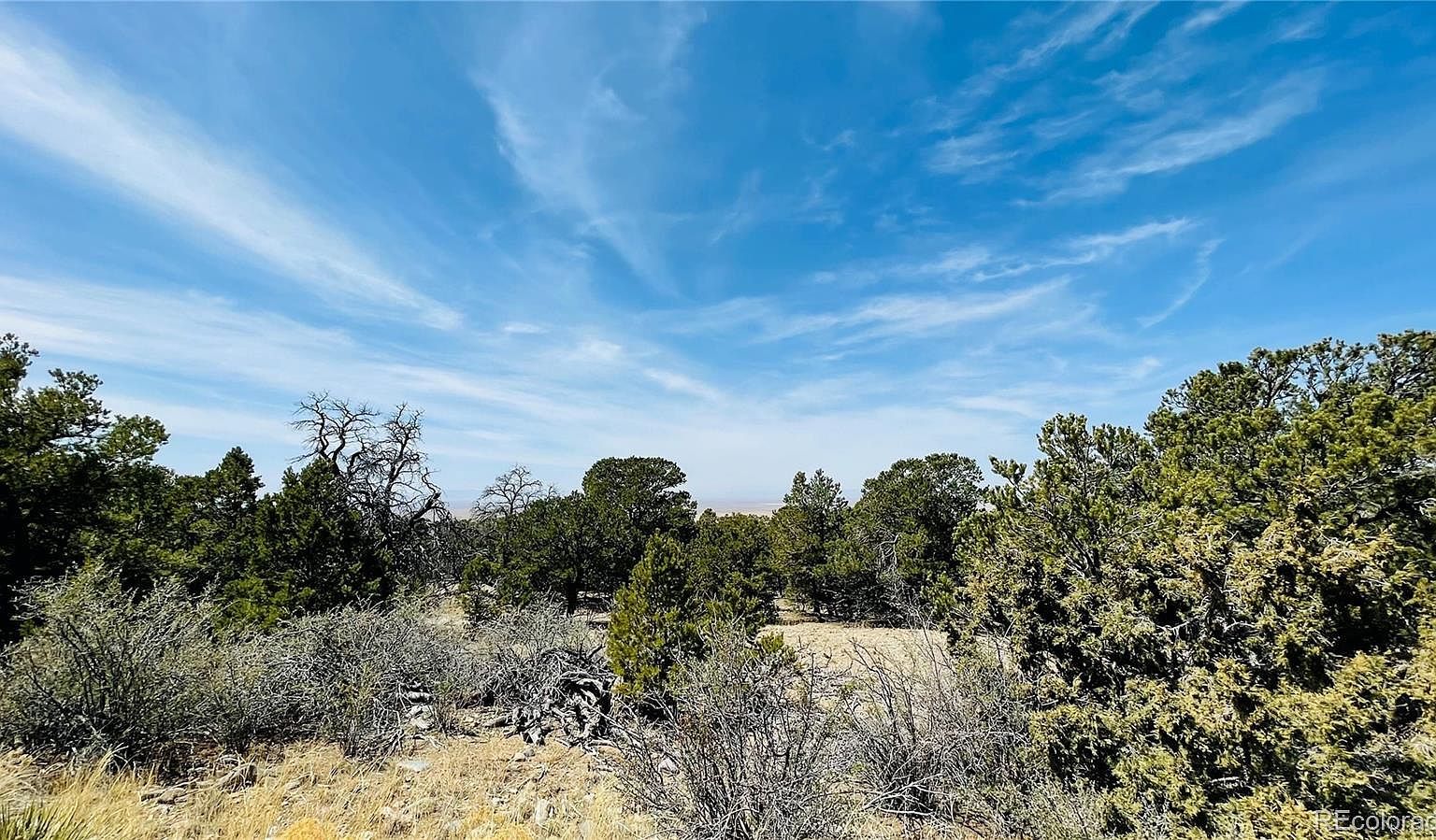 103 Arrowhead Ln #13 Mosca, CO 81146 - Thumbnail 2