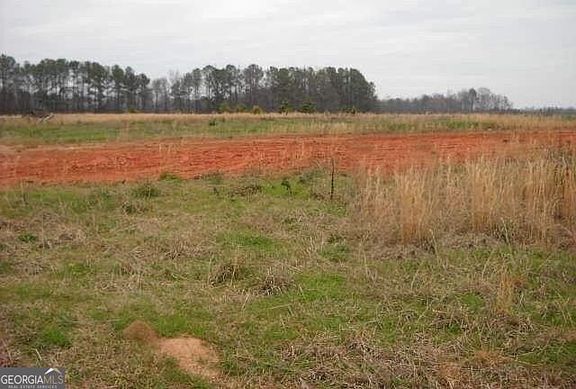 LOT 2 Mathews Rd Milner, GA 30257  | Land/Lot