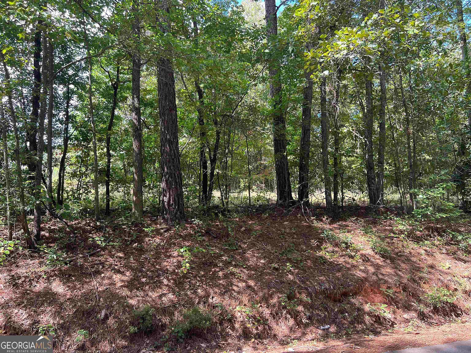 LOT 15 Weems Rd Molena, GA 30258  | Land/Lot