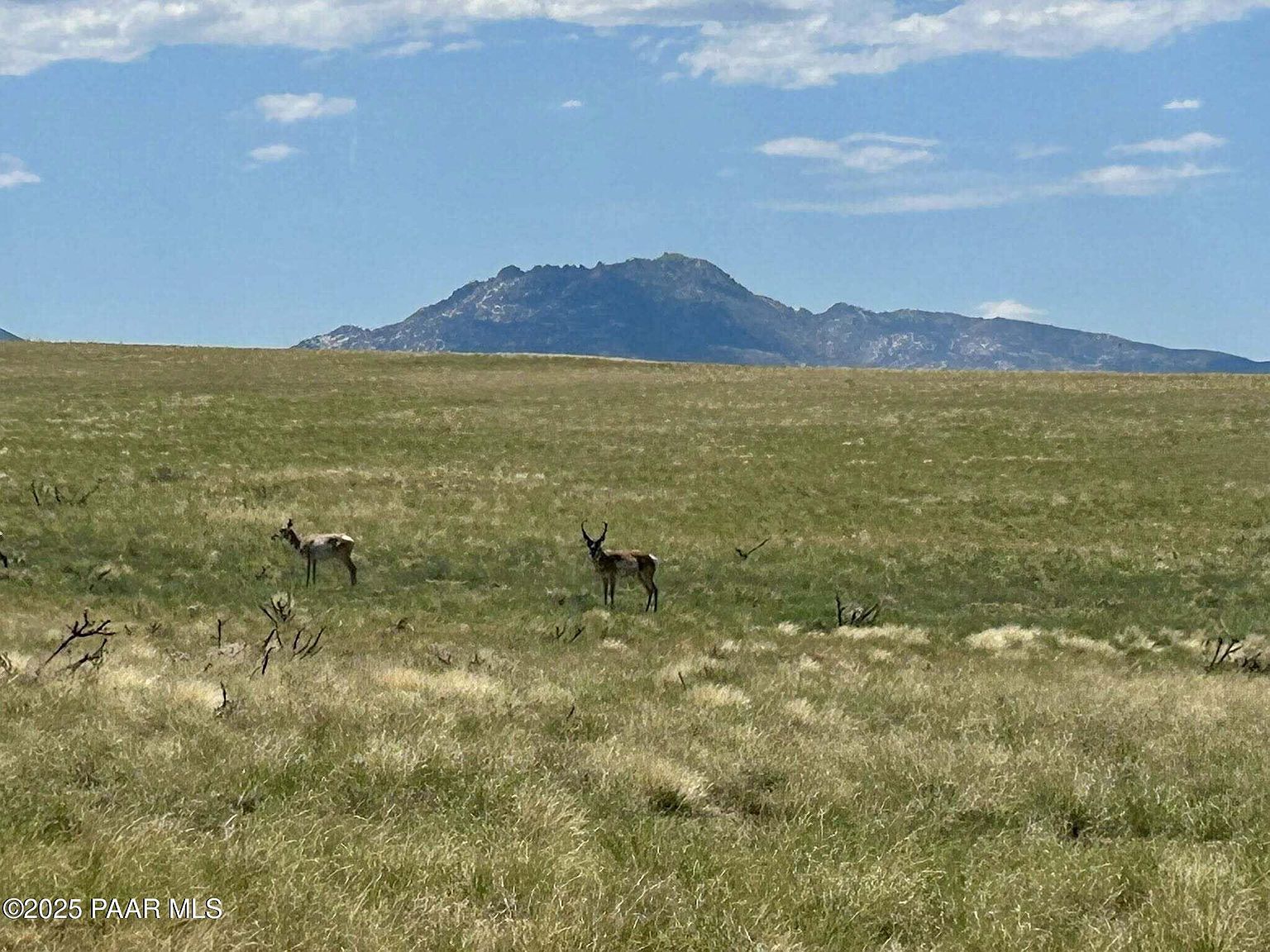 40-A E Norma Dr #1 Prescott Valley, AZ 86315 - Thumbnail 2