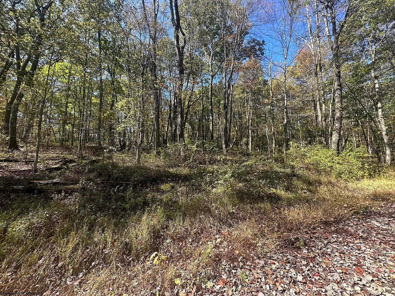 20 Rhododendron Dr Terra Alta, WV 26764 - Thumbnail 2