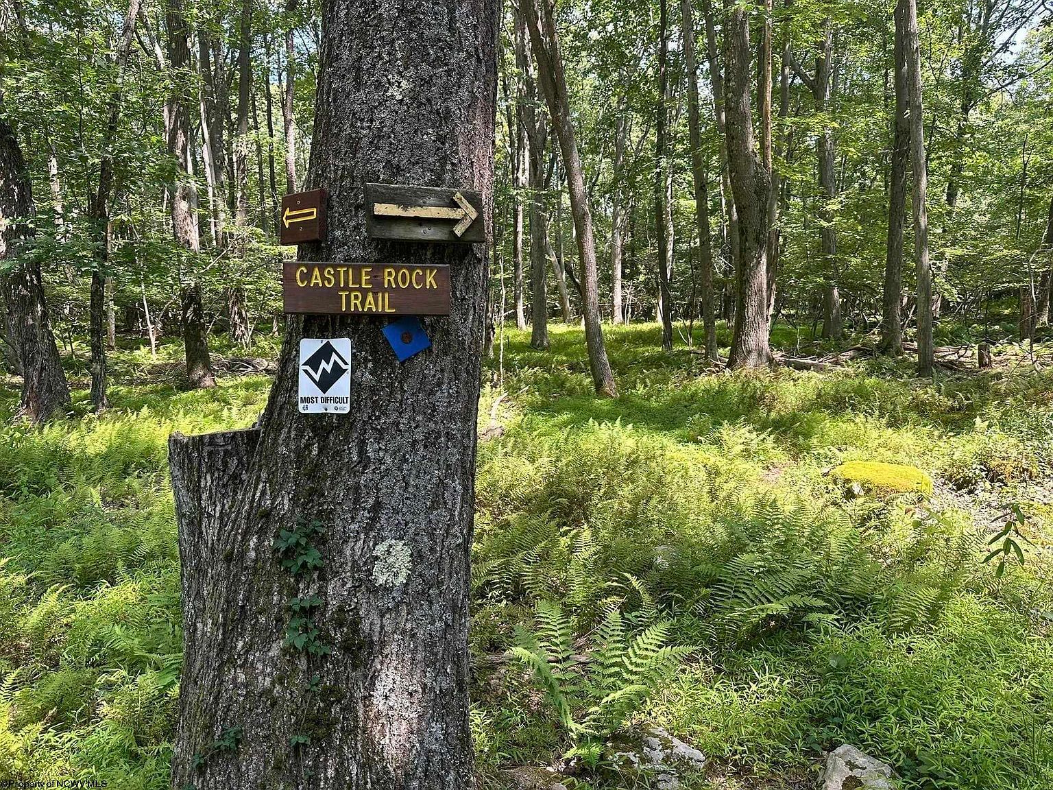 10 Aster Dr Terra Alta, WV 26764 - Thumbnail 2