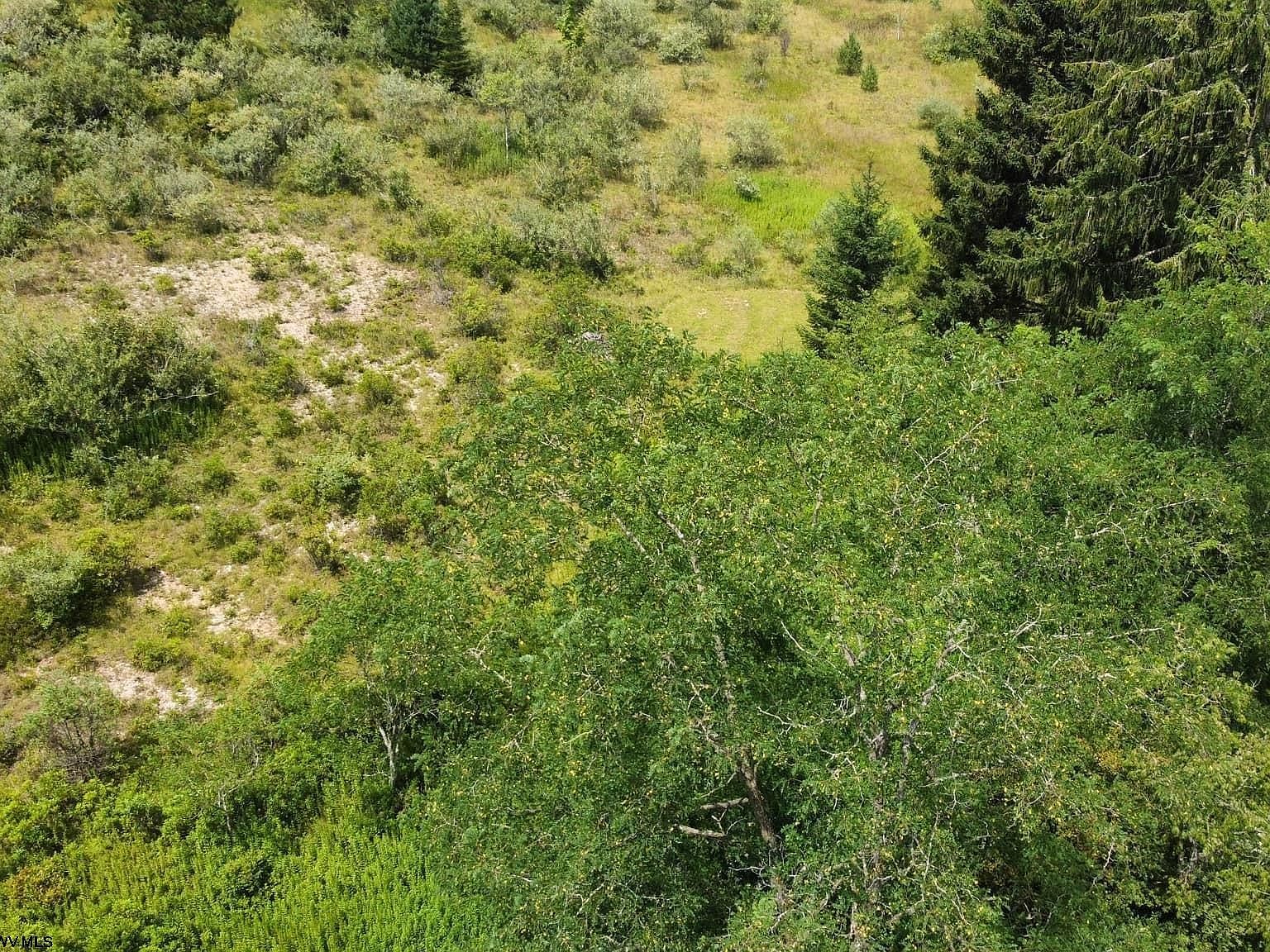 57 Bluebird Dr Terra Alta, WV 26764 - Thumbnail 2