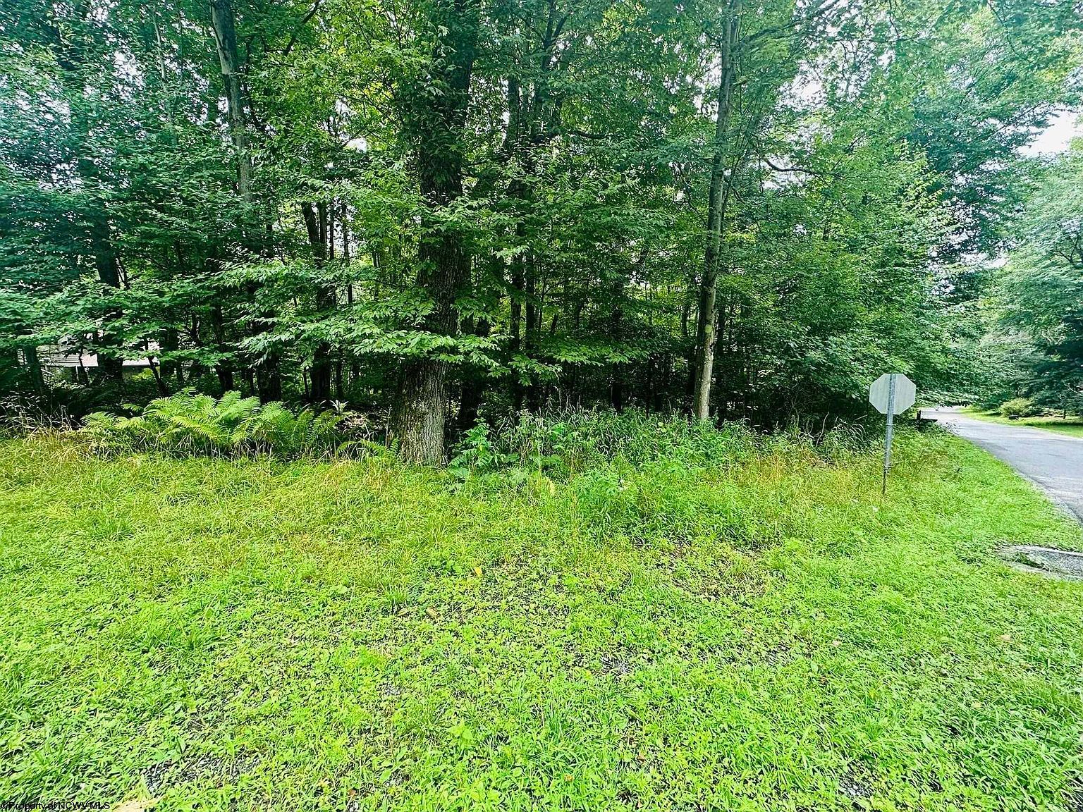 142 Dogwood Ln Terra Alta, WV 26764 - Thumbnail 2