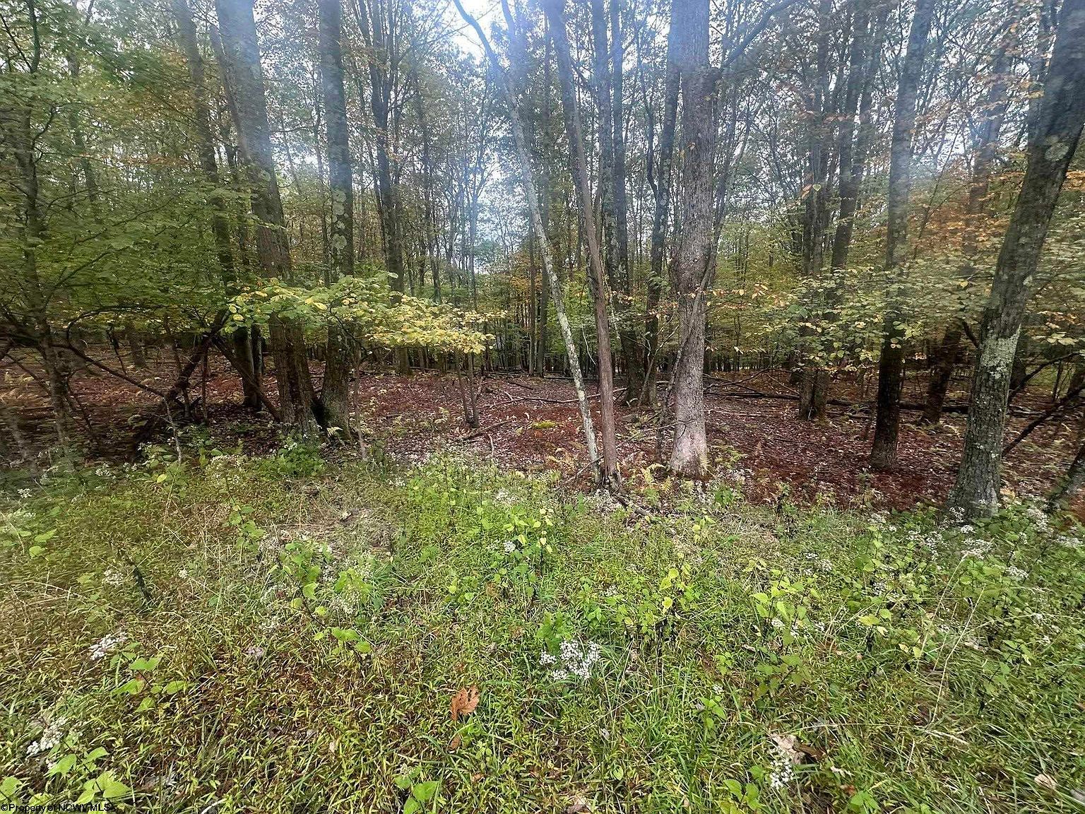 Lots 27 & 28 Alpine Dr Terra Alta, WV 26764 - Thumbnail 2