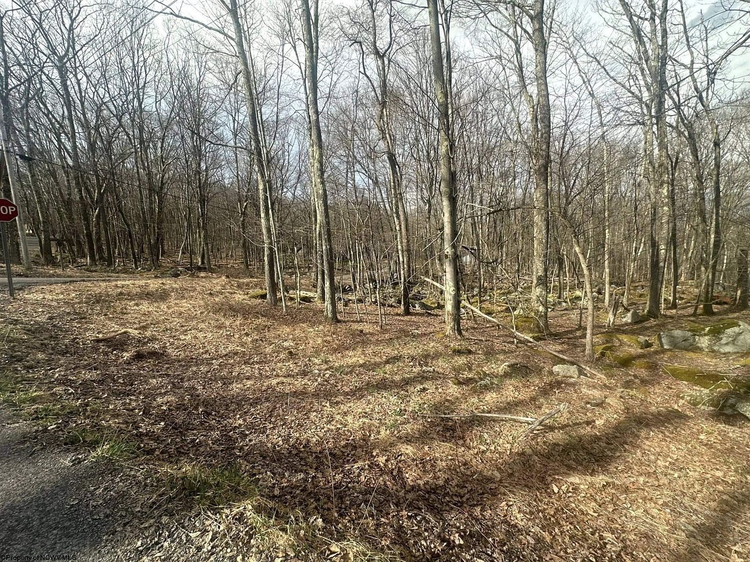 216 Aster Cir Terra Alta, WV 26764  | Land/Lot