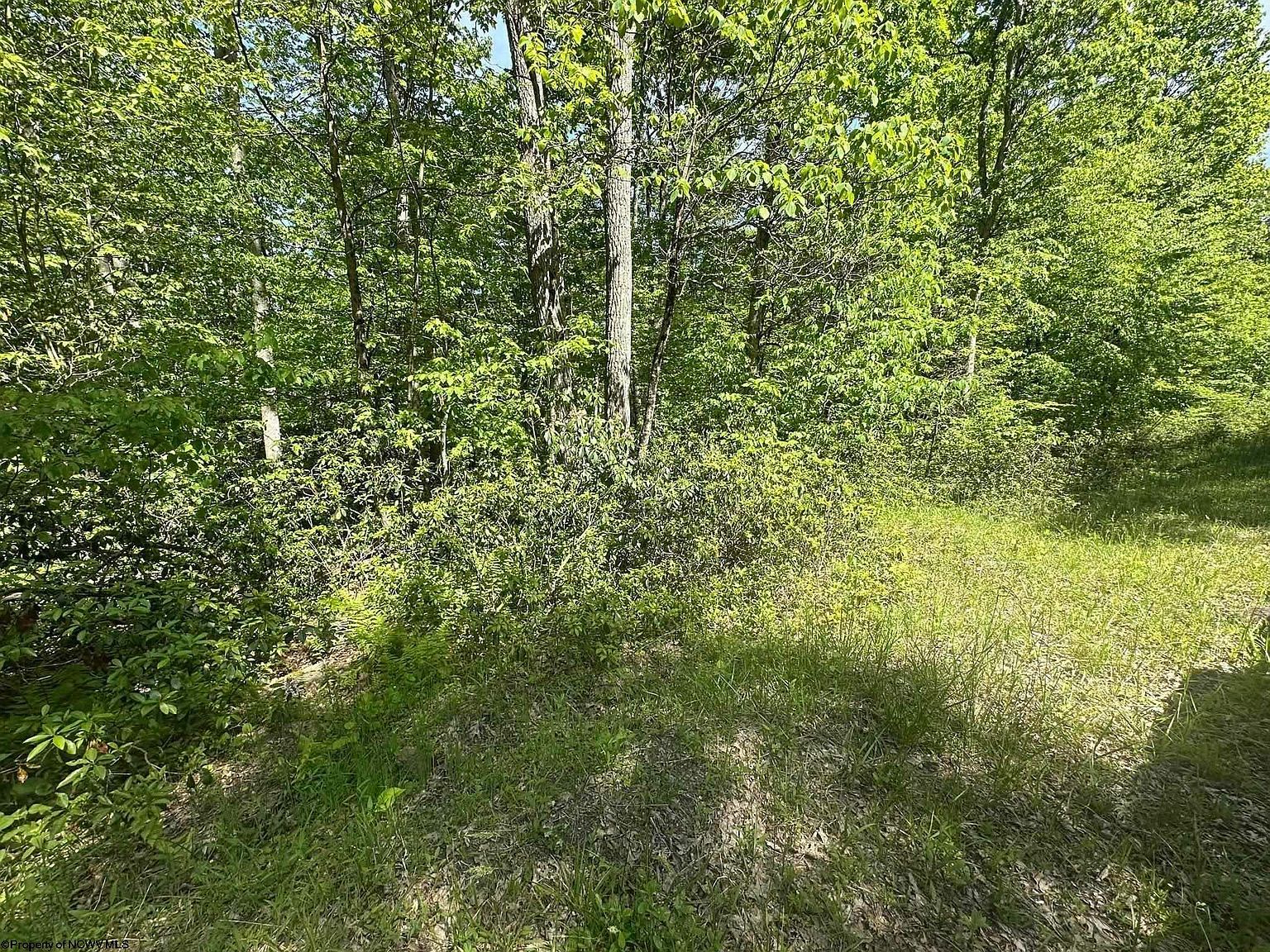 65 Pine Dr Terra Alta, WV 26764, 26764