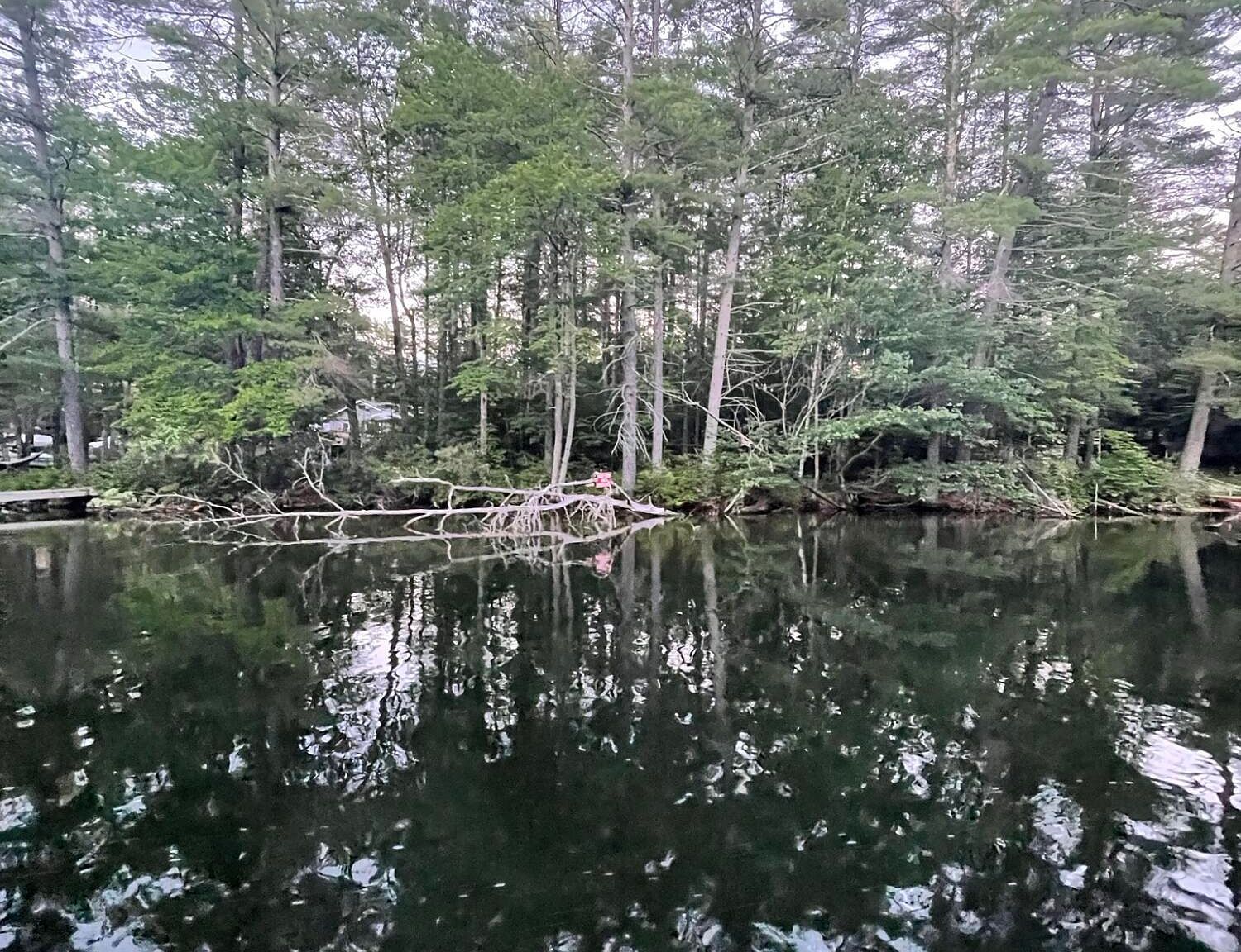 11 Dillingham Rd Naples, ME 04055 - Thumbnail 2