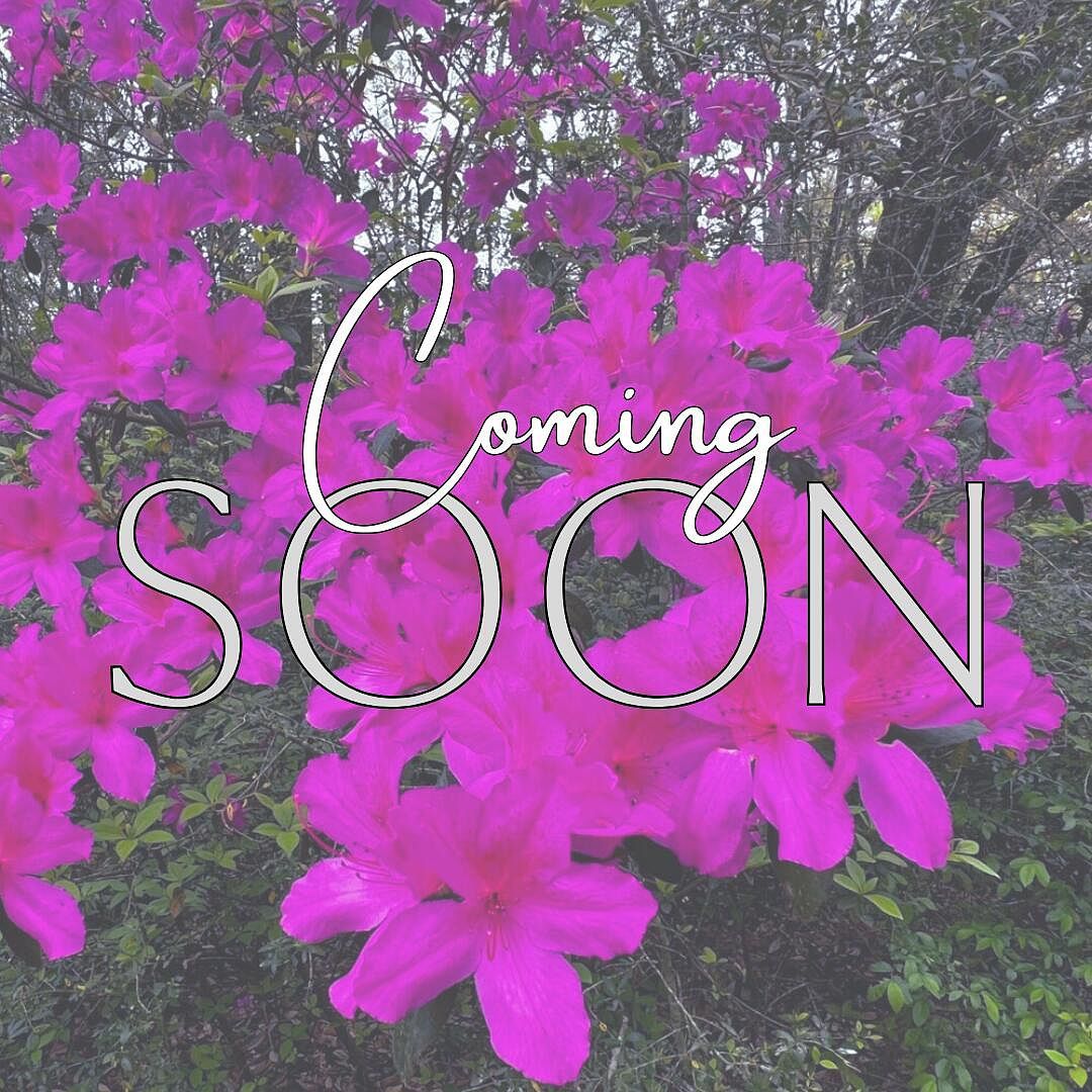 5703 Old River Rd Baker, FL 32531 | Single Family