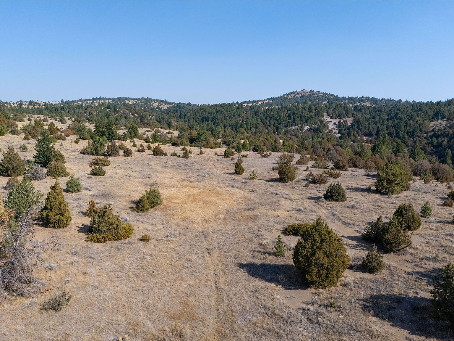 Nhn Trails End Dr Anaconda, MT 59711 - Thumbnail 2