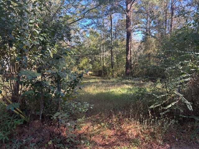 418 Ellis Street, Andalusia, AL, USA, 36420 - Thumbnail 2