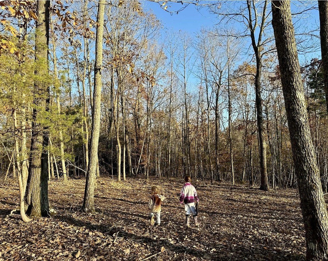 260 Lineport Rd Bumpus Mills, TN 37028 - Thumbnail 2