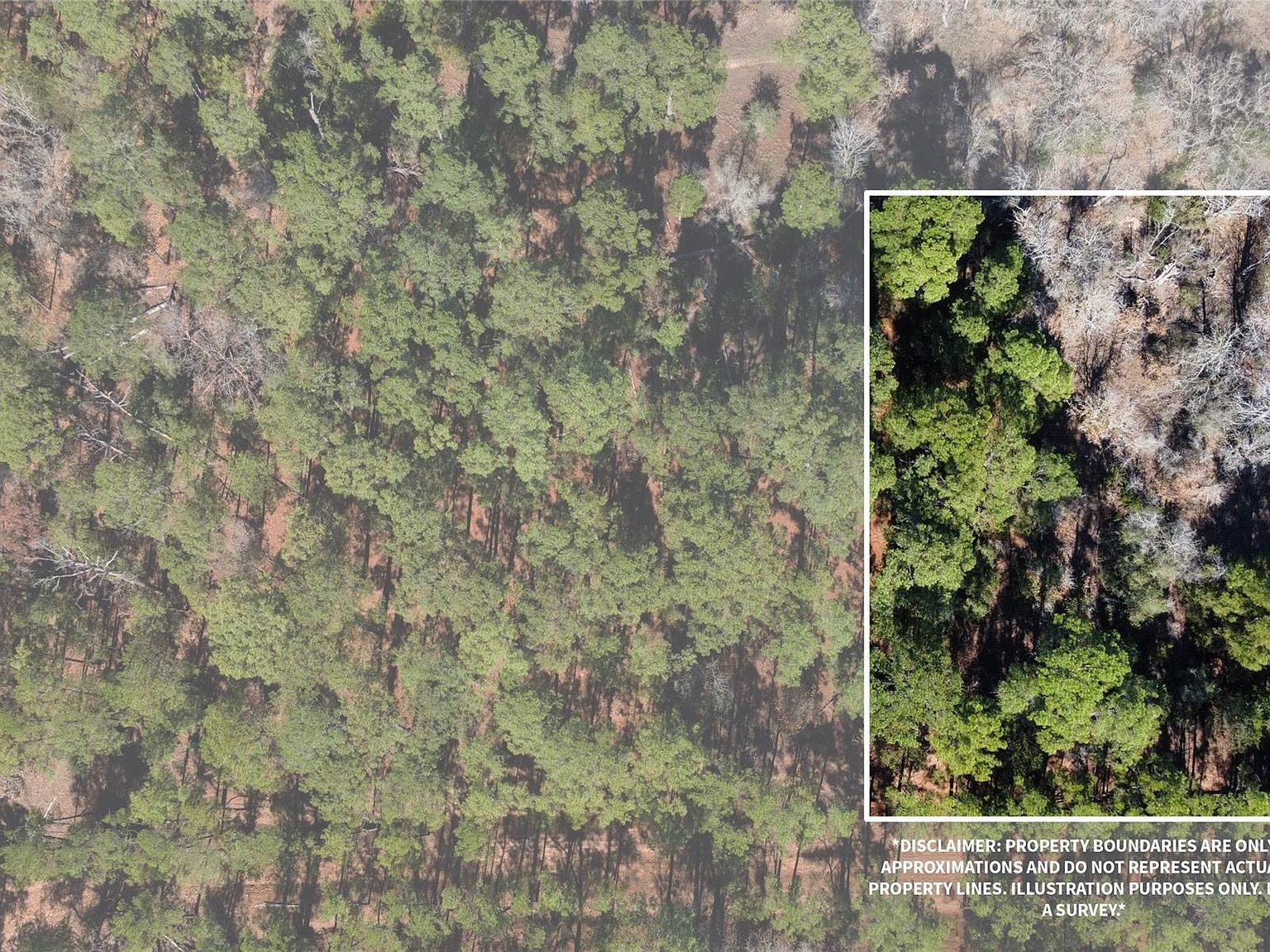 0 Pine Lodge Dr Lot 26 Bastrop, TX 78602 - Thumbnail 2