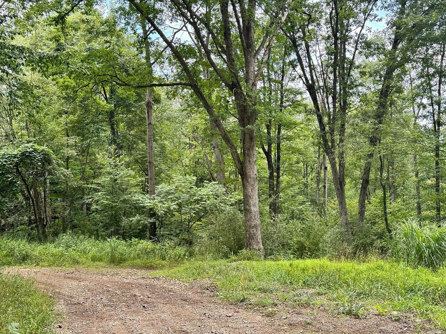 0 Ishman Rd Brookville, PA 15825 - Thumbnail 2