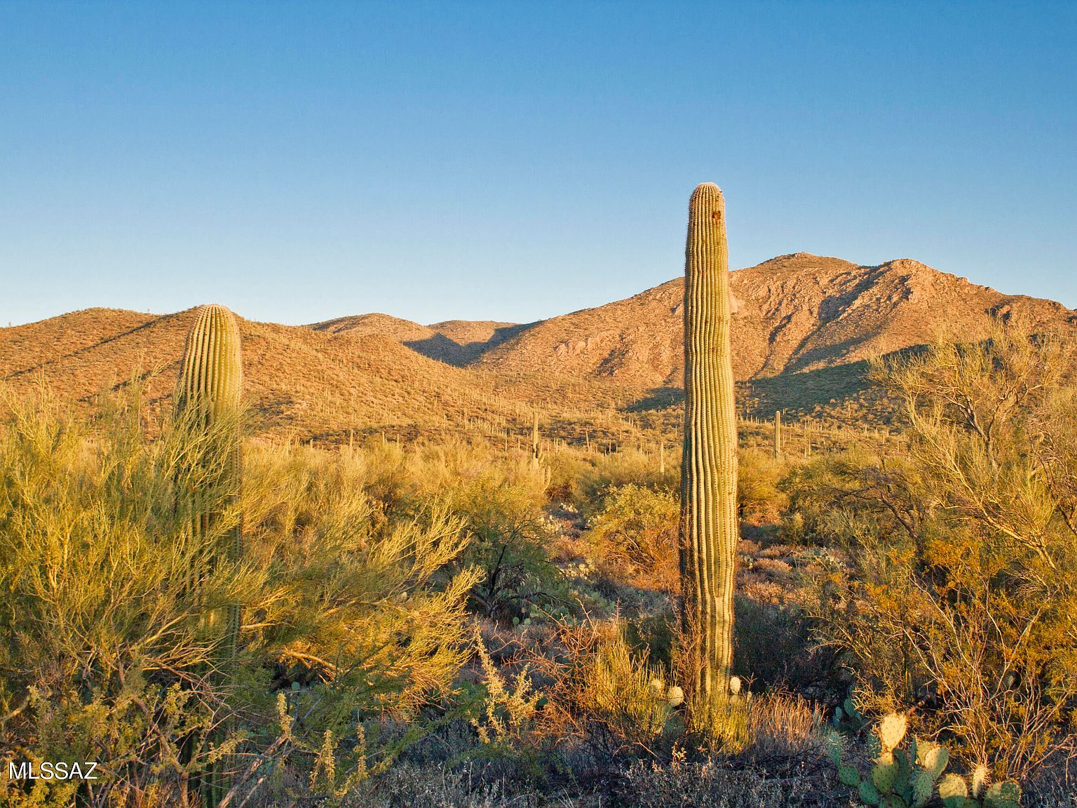 0 E Silverian Rd Marana, AZ 85658 - Thumbnail 2