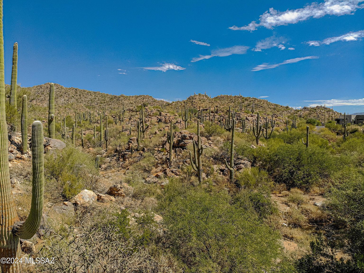 1173 W Tortolita Mountain Cir #182 Tucson, AZ 85755 - Thumbnail 2