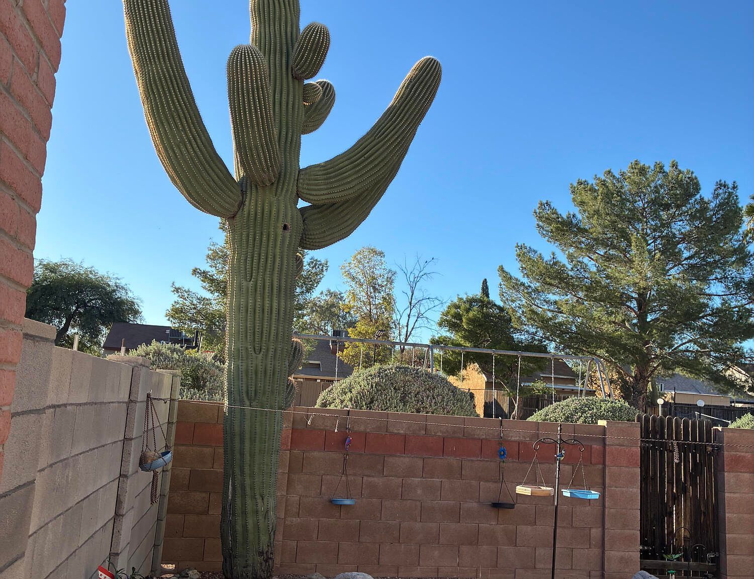 7256 S Camino Del Arco Iris Tucson, AZ 85746 - Thumbnail 2