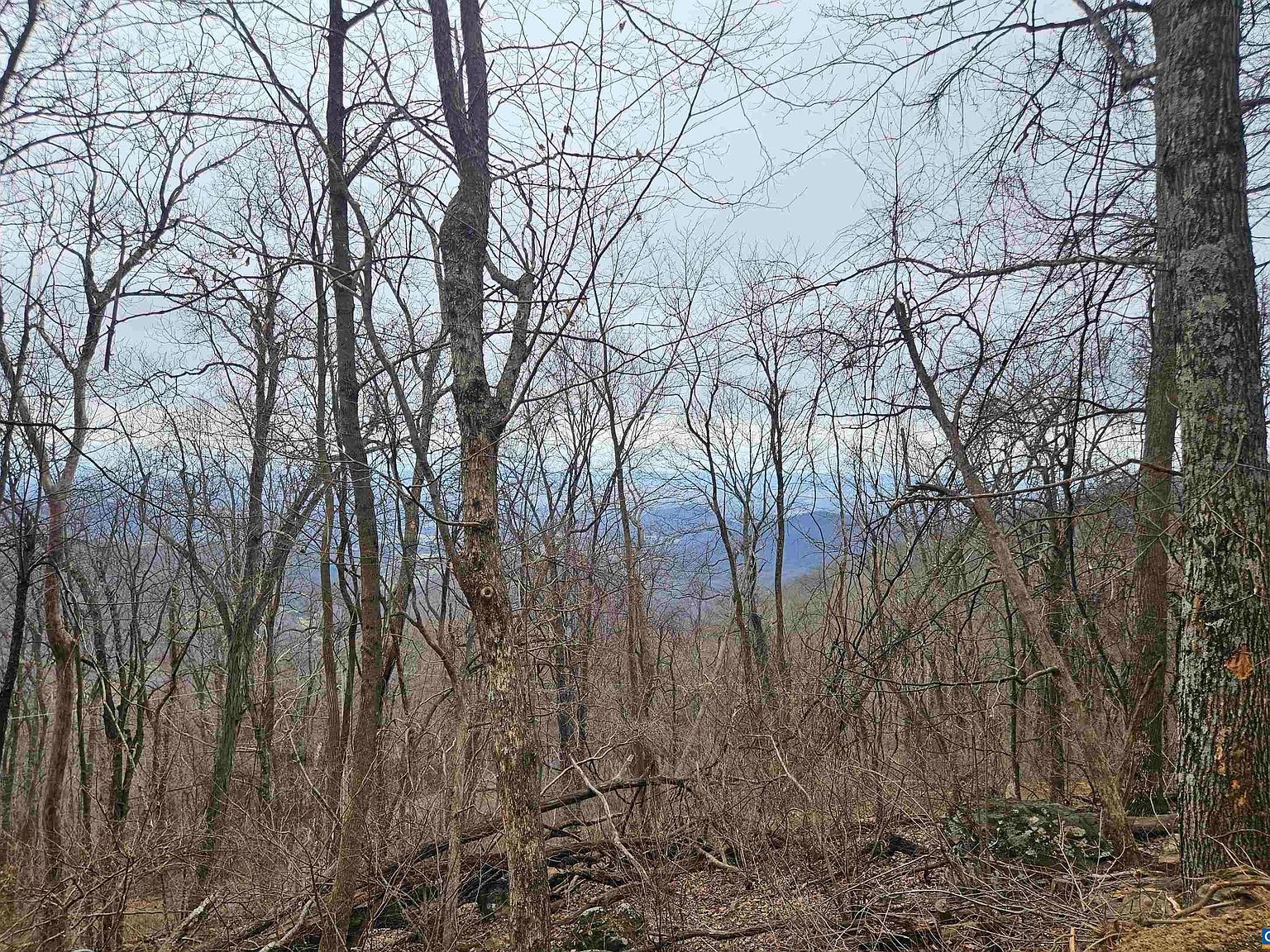 LOT 17 & Spg #18 Free Union, VA 22940  | Land/Lot