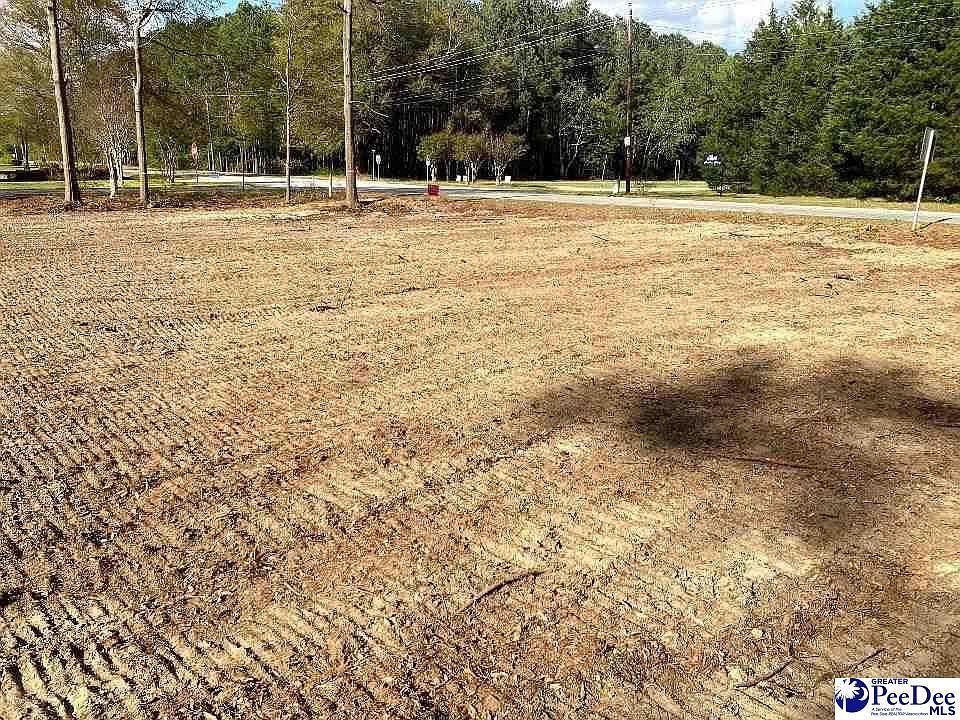 Dunlap Dr Hartsville, SC 29550, 29550