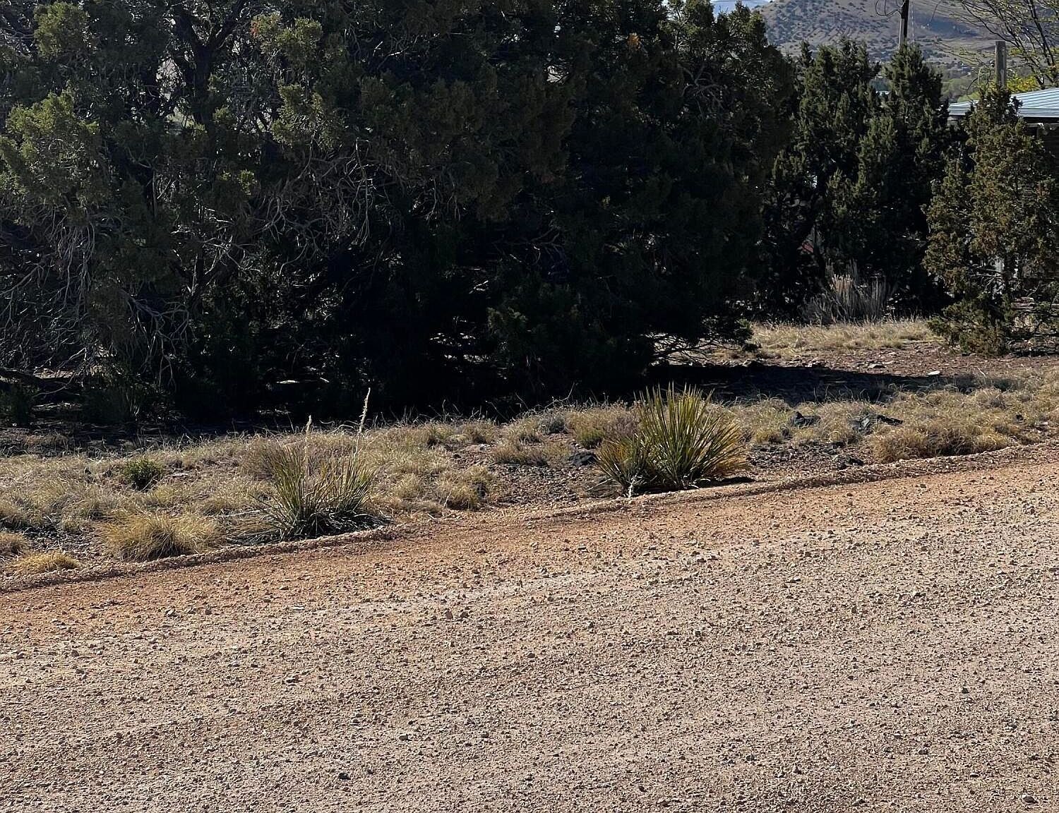 58 Short Ln #2 Concho, AZ 85924 - Thumbnail 2