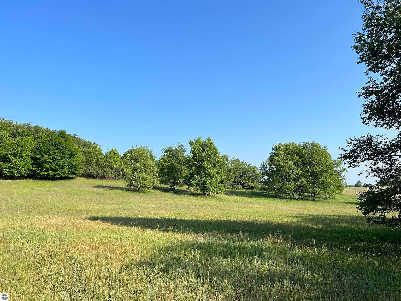 0 S Bridle Trail Dr Empire, MI 49630 - Thumbnail 2