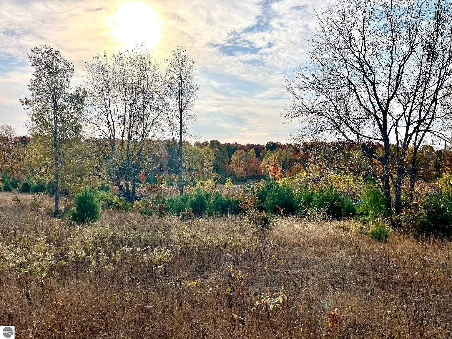 PARCEL A8 S Bright Rd Maple City, MI 49664 - Thumbnail 2