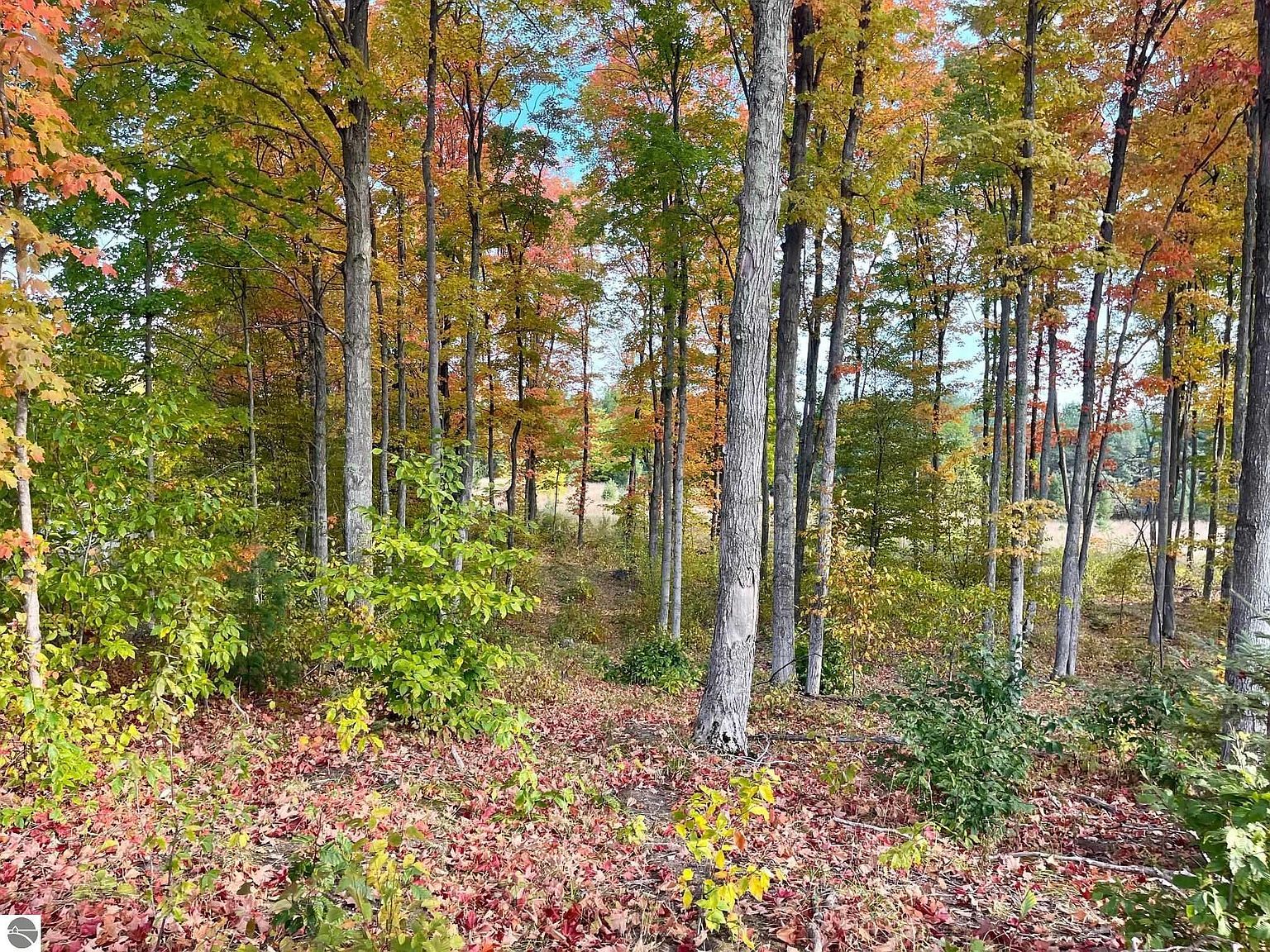 PARCEL A6 S Bright Rd, Maple City, MI, 49664 - Thumbnail 2