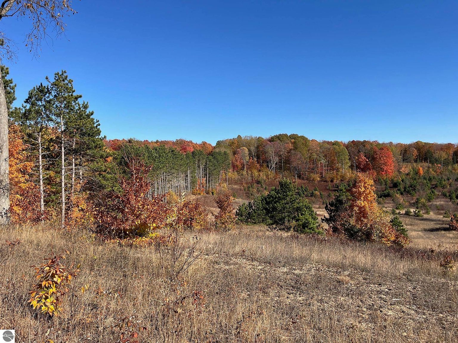 PARCEL A3 E Kasson Rd Maple City, MI 49664 - Thumbnail 2