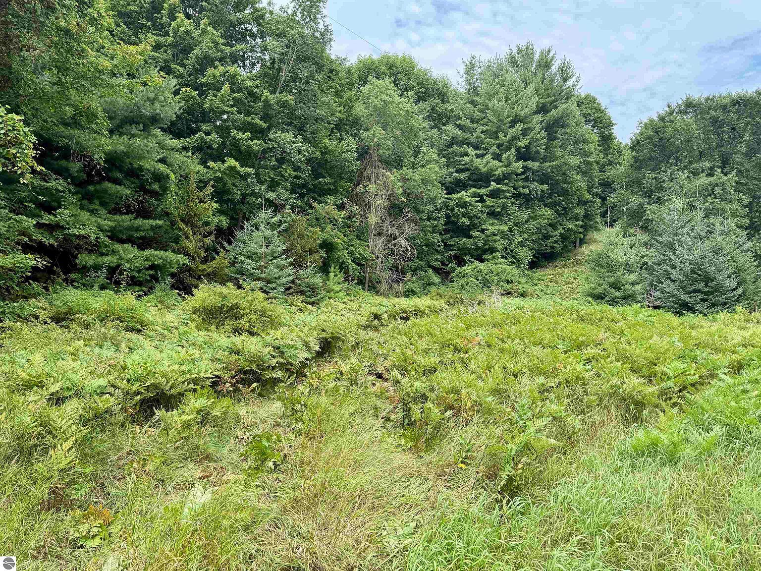 0 W Empire Hwy Empire, MI 49630 - Thumbnail 2