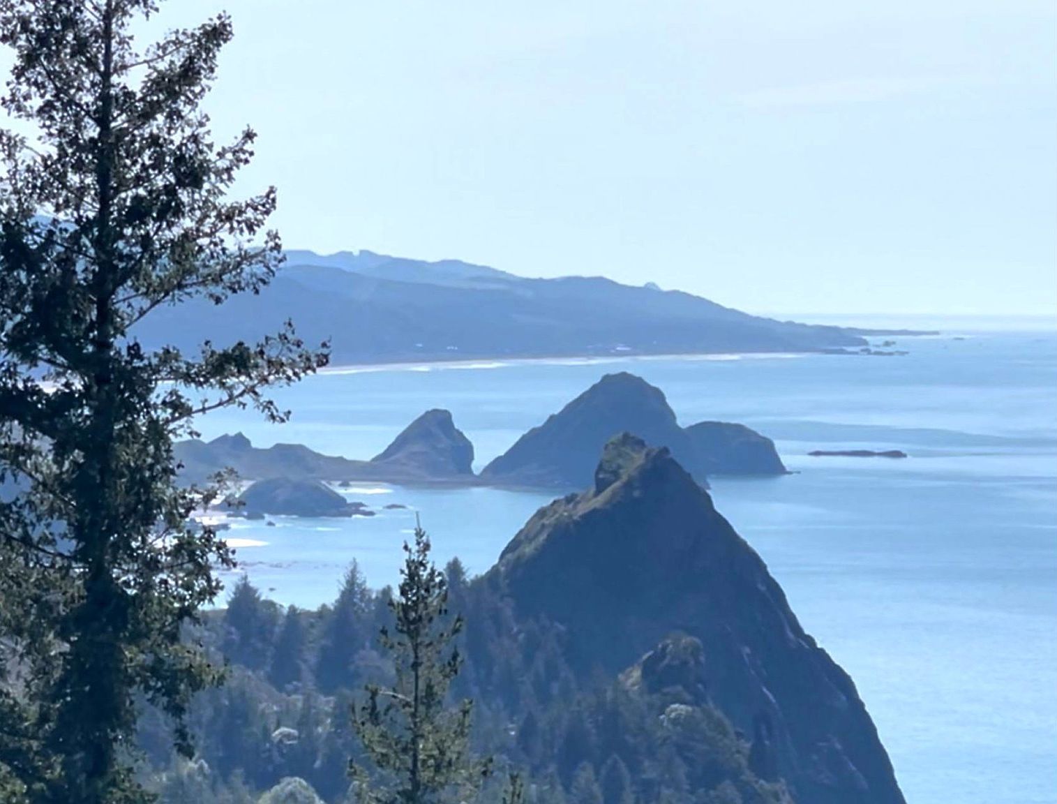 38097 Pacific Highlands Dr Port Orford, OR 97465 - Thumbnail 2