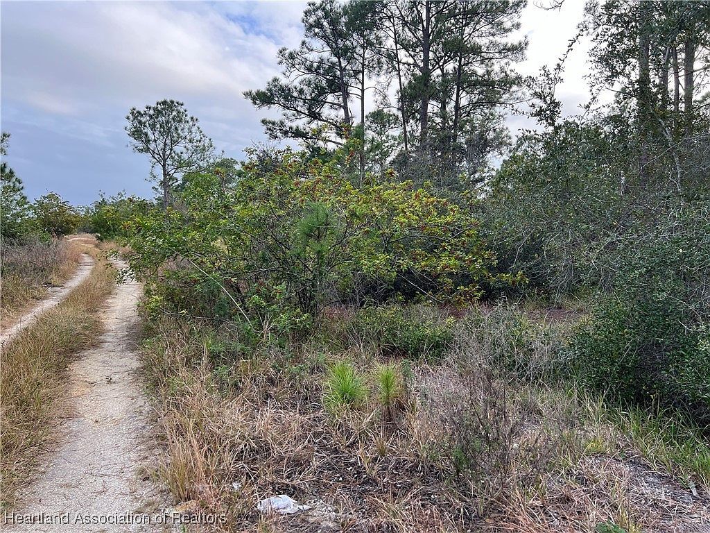 354 Summer Hill Dr Lake Placid, FL 33852 - Thumbnail 2