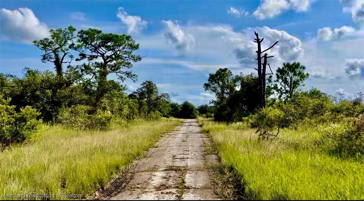 212 Broach St NW Lake Placid, FL 33852 - Thumbnail 2