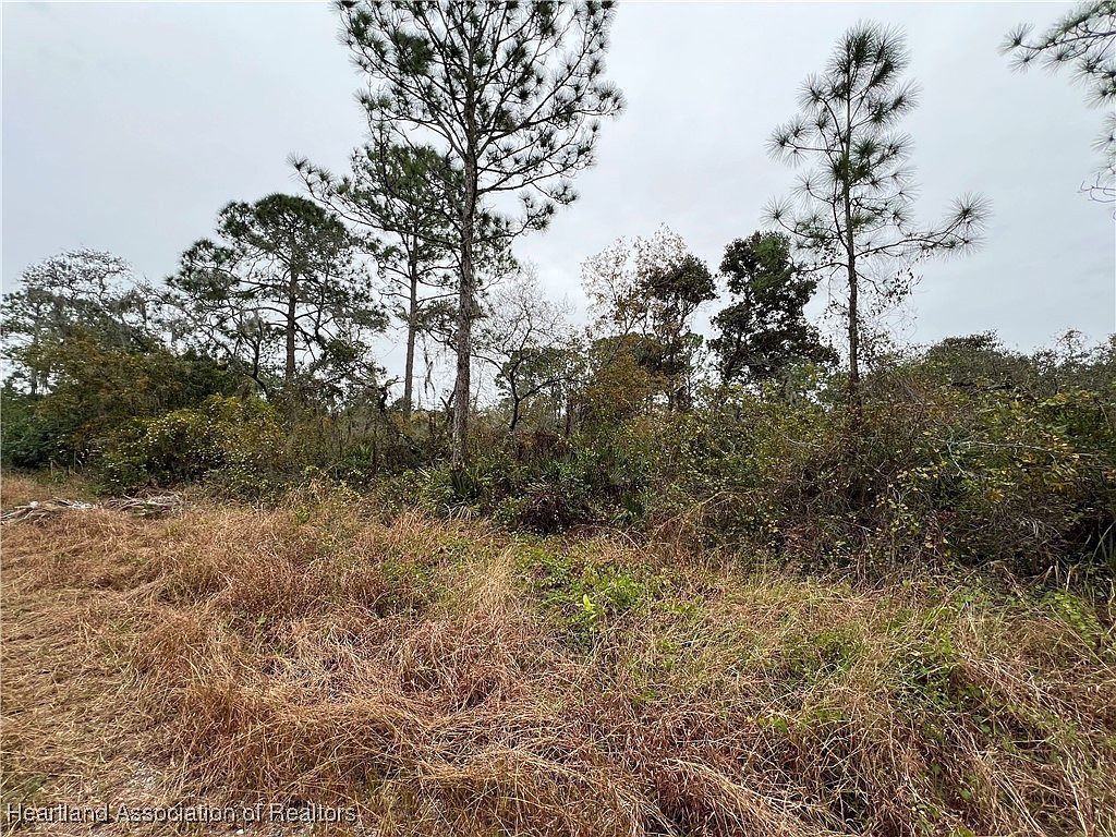 345 Moon River Ave Lake Placid, FL 33852 - Thumbnail 2